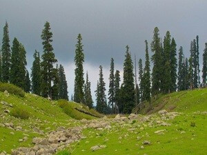 discover kashmir