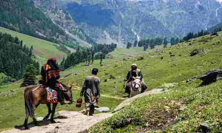 Aru Valley Trek