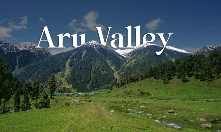 Aru Valley