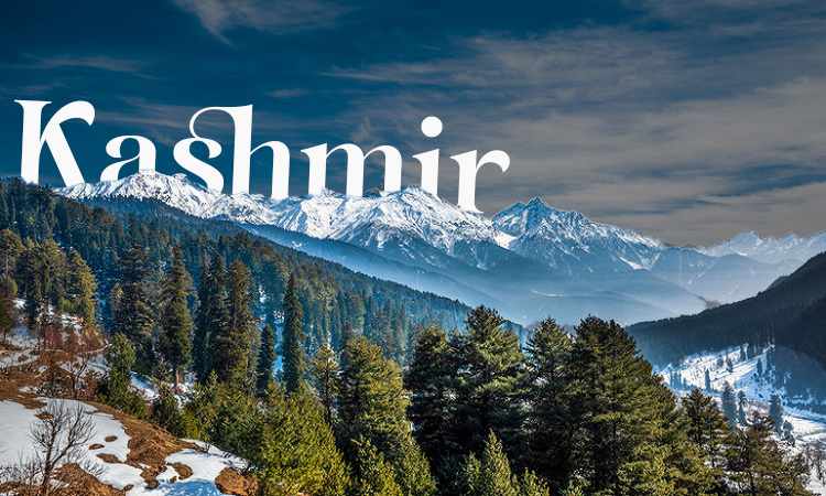 Trip To Kashmir