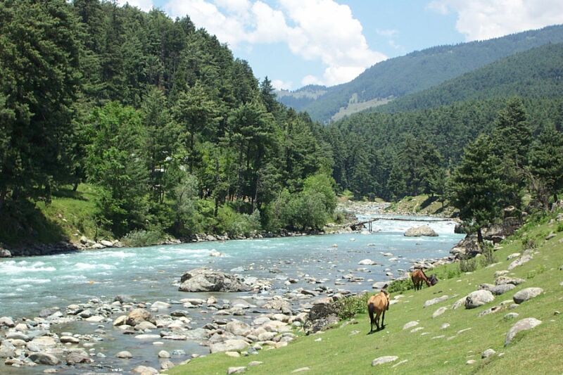lidder river pahalgam