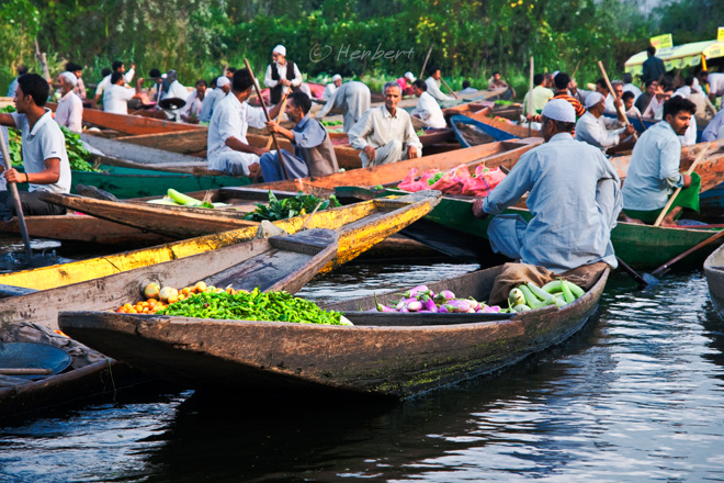 floating vegetable market in srinagar