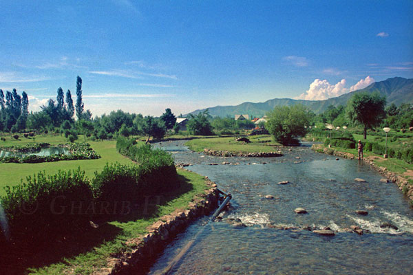 kokernag