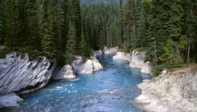 beauty of pahalgam