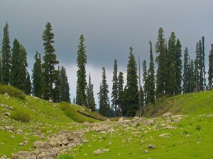 discover kashmir