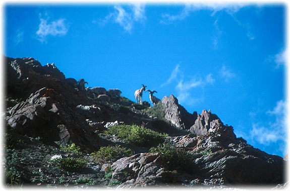 Kishtwar National Park