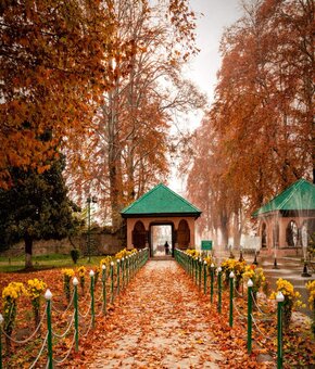 Unforgettable Kashmir